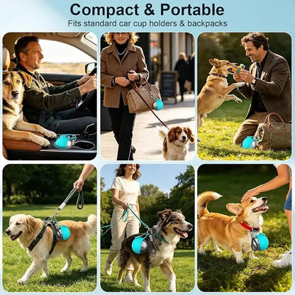 Eco-Friendly 10Oz (285Ml) Stainless Steel Dog Water Bottle with Rubber Leakproof Seal, Foldable Silicone Bowl 2-In-1 Pet Dispenser for Feeding (Pet Supplies, Dog Feeding Accessories), Foldable Bowl
