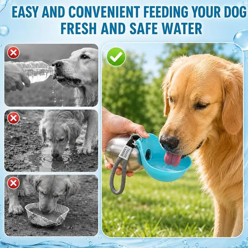 Eco-Friendly 10Oz (285Ml) Stainless Steel Dog Water Bottle with Rubber Leakproof Seal, Foldable Silicone Bowl 2-In-1 Pet Dispenser for Feeding (Pet Supplies, Dog Feeding Accessories), Foldable Bowl