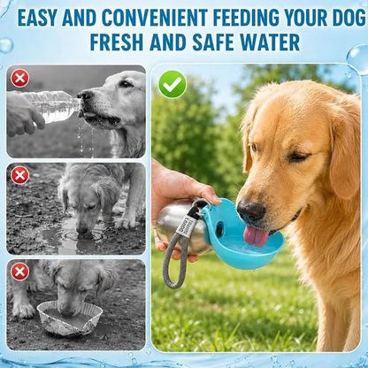 Eco-Friendly 10Oz (285Ml) Stainless Steel Dog Water Bottle with Rubber Leakproof Seal, Foldable Silicone Bowl 2-In-1 Pet Dispenser for Feeding (Pet Supplies, Dog Feeding Accessories), Foldable Bowl